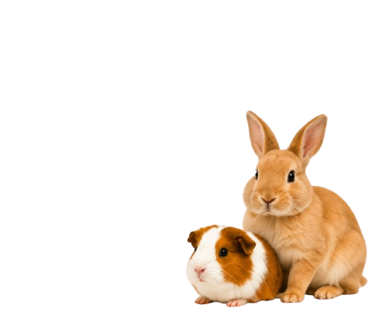 Productos para mascotas pequeñas